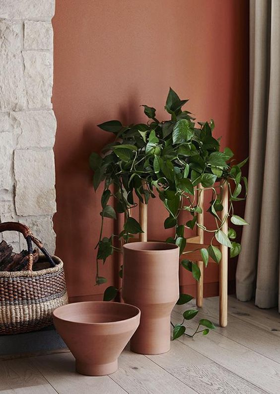 terracotta et plantes vertes